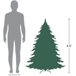 Northlight Real Touch™? Potted Sierra Norway Spruce Slim Artificial Christmas Tree - 4.5' - Clear Lights 9 Northlight Real Touch™? Potted Sierra Norway Spruce Slim Artificial Christmas Tree - 4.5' - Clear Lights -Winter Decor Store 4.527 10969.1684933384