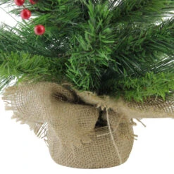 Northlight Mixed Cashmere Berry Pine Medium Artificial Christmas Tree - 24" - Unlit 11 Northlight Mixed Cashmere Berry Pine Medium Artificial Christmas Tree - 24" - Unlit -Winter Decor Store 4fszc7qvvh13bkrz4obzvfcqiilqrfuf 15414.1665580316