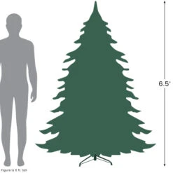 Northlight Real Touch™? Slim Layered Nordmann Fir Artificial Christmas Tree - Unlit - 6.5' -Winter Decor Store 6.527 40894.1697819517