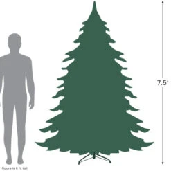 Northlight Real Touch™? Pre-Lit Full Noble Fir Artificial Christmas Tree - 7.5' - Clear Lights 12 Northlight Real Touch™? Pre-Lit Full Noble Fir Artificial Christmas Tree - 7.5' - Clear Lights -Winter Decor Store 7.527 49525.1697646768