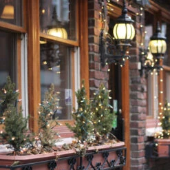 Northlight 300-Count Clear Mini Christmas Light Set, 61ft Green Wire -Winter Decor Store holidaychristmaslights lifestyle 59074.1665519662