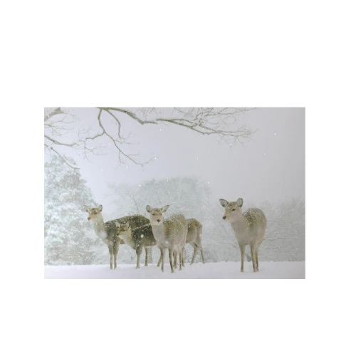 Northlight Small Fiber Optic Lighted Winter Woods With Deer Canvas Wall Art 12" X 11.75" 1 Northlight Small Fiber Optic Lighted Winter Woods With Deer Canvas Wall Art 12" X 11.75"