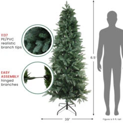 Real Touch™? Slim Washington Frasier Fir Artificial Christmas Tree - Unlit - 6.5' -Winter Decor Store northlight b03890 thumbnail dec28 2023 97214.1704379448