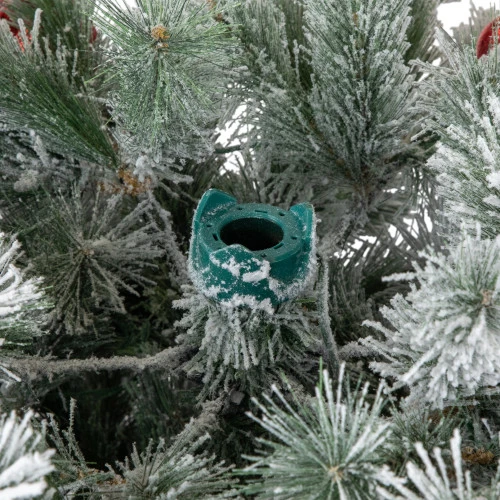 Northlight Pre-Lit Snowy Bristle Pine Artificial Christmas Tree - 7.5' - Warm White LED Lights 6 Northlight Pre-Lit Snowy Bristle Pine Artificial Christmas Tree - 7.5' - Warm White LED Lights - Image 6