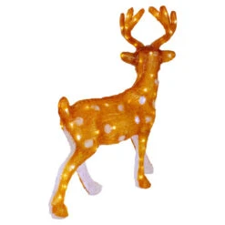 Northlight LED Lighted Commercial Grade Acrylic Reindeer Outdoor Christmas Decoration - 24" - Warm White 10 Northlight LED Lighted Commercial Grade Acrylic Reindeer Outdoor Christmas Decoration - 24" - Warm White -Winter Decor Store northlight a92005 01 92004.1638200939
