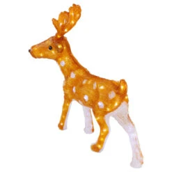 Northlight LED Lighted Commercial Grade Acrylic Reindeer Outdoor Christmas Decoration - 24" - Warm White 9 Northlight LED Lighted Commercial Grade Acrylic Reindeer Outdoor Christmas Decoration - 24" - Warm White -Winter Decor Store northlight a92005 03 17755.1638200939