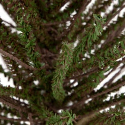 Northlight 2' Green And Brown Warsaw Twig Artificial Christmas Tree With Burlap Base - Unlit -Winter Decor Store northlight b03908 2 64991.1669452431