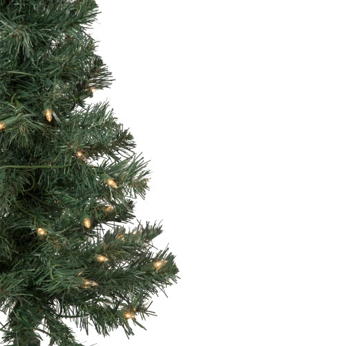Northlight 2' Pre-Lit Slim Blackwater Fir Artificial Christmas Tree - Clear Lights 3 Northlight 2' Pre-Lit Slim Blackwater Fir Artificial Christmas Tree - Clear Lights - Image 3