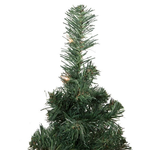 Northlight 2' Pre-Lit Slim Blackwater Fir Artificial Christmas Tree - Clear Lights 4 Northlight 2' Pre-Lit Slim Blackwater Fir Artificial Christmas Tree - Clear Lights - Image 4