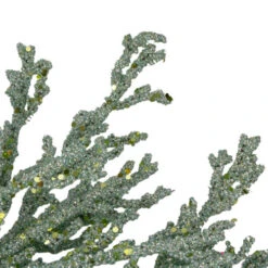 20" Green Glittered Artificial Coral Christmas Wreath -Winter Decor Store northlight gb90530 2 16326.1603245202