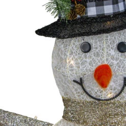 Northlight 49" White And Black LED Lighted Snowman With Top Hat Christmas Outdoor Decoration 7 Northlight 49" White And Black LED Lighted Snowman With Top Hat Christmas Outdoor Decoration -Winter Decor Store northlight h87081 2 updated 55224.1665260248
