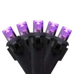 Northlight Wide Angle LED Christmas Lights - Purple - 16' Black Wire - 50ct