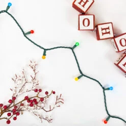 Northlight LED G12 Berry Christmas Lights - Multicolor - 16' Green Wire - 50 Ct -Winter Decor Store northlight ha95860 styled2 66971.1709061165