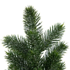 Northlight Mini Iced Pine Artificial Christmas Trees - 10" - Set Of 3 8 Northlight Mini Iced Pine Artificial Christmas Trees - 10" - Set Of 3 -Winter Decor Store northlight hn95109 03 91697.1702402355