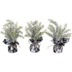 Northlight Mini Frosted Pine Artificial Christmas Trees - 10" - Set Of 3