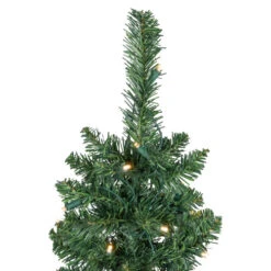 Northlight 6' Pre-Lit Northern Balsam Fir Pencil Artificial Christmas Tree, Warm Clear LED Lights -Winter Decor Store northlight j00067 4 37948.1665088080