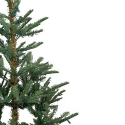 Northlight Real Touch™? Pre-Lit Nordmann Fir Artificial Christmas Tree - 7.5' - Warm Clear LED Lights 11 Northlight Real Touch™? Pre-Lit Nordmann Fir Artificial Christmas Tree - 7.5' - Warm Clear LED Lights -Winter Decor Store northlight j00085 3 40466.1725933197