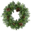 Northlight Boxwood And Pine Cone Artificial Christmas Wreath - 27" - Unlit