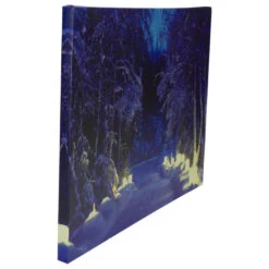 Northlight LED Lighted Nighttime In The Woods Winter Scene Canvas Wall Art 15.75" -Winter Decor Store northlight nj82847 4 78620.1665611029