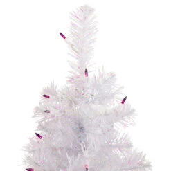 Northlight 2' Pre-lit Rockport White Pine Artificial Christmas Tree, Purple Lights 8 Northlight 2' Pre-lit Rockport White Pine Artificial Christmas Tree, Purple Lights -Winter Decor Store northlight sm92947 3 updated 77637.1665590923