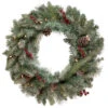 Northlight Pre-Lit Snowy Waterloo Pine Artificial Christmas Wreath - 24-Inch, Clear Lights