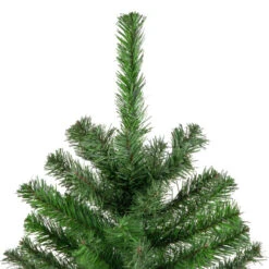 Northlight 5' Colorado Spruce 2-Tone Medium Artificial Christmas Tree - Unlit 7 Northlight 5' Colorado Spruce 2-Tone Medium Artificial Christmas Tree - Unlit -Winter Decor Store northlight v03972 3 80591.1665611038