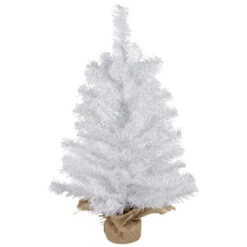 Northlight 2' Medium Balsam Pine Burlap Base Artificial Christmas Tree - Unlit