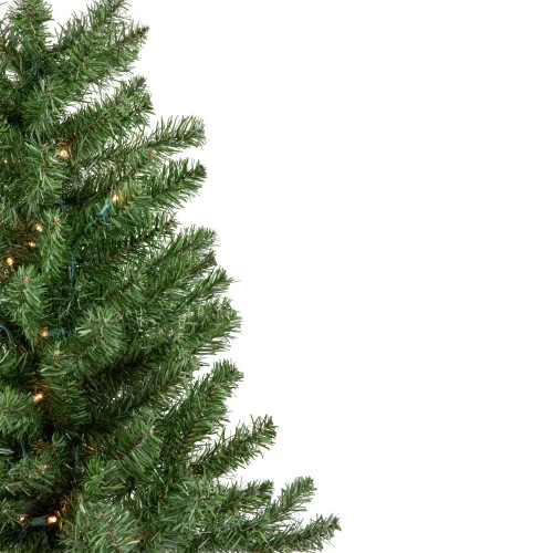 Northlight 3' Pre-Lit Canadian Pine Artificial Christmas Tree, Clear LED Lights 4 Northlight 3' Pre-Lit Canadian Pine Artificial Christmas Tree, Clear LED Lights - Image 4