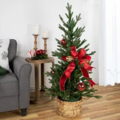 Northlight Real Touch™ Pre-Lit Grande Spruce Artificial Potted Christmas Tree - 4' - Clear Lights