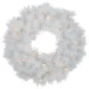Northlight Pre-Lit White Alaskan Pine Artificial Christmas Wreath, 24-Inch, Warm White LED Lights