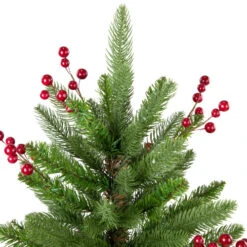 Northlight Real Touch™? Potted Sarasota Pine Artificial Mini Christmas Tree - 24" - Unlit -Winter Decor Store northlight v96304 02 06356.1726279115