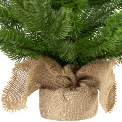 Northlight Real Touch™? Potted Sarasota Pine Artificial Mini Christmas Tree - 24" - Unlit -Winter Decor Store northlight v96304 03 44992.1726279113