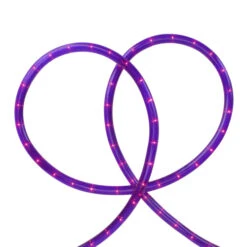 Sienna 18' Pre Lit Purple Incandescent Outdoor Christmas Rope Lights -Winter Decor Store northlight ys27514 72226.1694792780