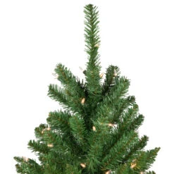 Northlight 6.5' Pre-Lit White River Fir Pencil Artificial Christmas Tree, Clear Lights -Winter Decor Store northlight z16022 3 59641.1664989116