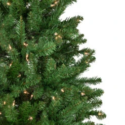 Northlight 6.5' Pre-Lit White River Fir Pencil Artificial Christmas Tree, Clear Lights -Winter Decor Store northlight z16022 6new 96372.1664989116
