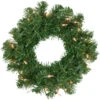Northlight Deluxe Dorchester Pine Artificial Christmas Wreath, 16-Inch, Clear Lights