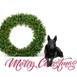 Northlight Dakota Red Pine Commercial Artificial Christmas Wreath - 5' - Unlit 6 Northlight Dakota Red Pine Commercial Artificial Christmas Wreath - 5' - Unlit -Winter Decor Store northlight z99437 cxpic 2 84230.1677579788