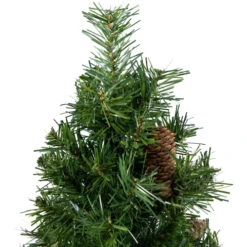Full Dakota Pine Artificial Christmas Tree - 2' - Unlit 11 Full Dakota Pine Artificial Christmas Tree - 2' - Unlit -Winter Decor Store northlight z99925 03 80215.1691247505