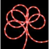 Sienna 12' Pre-Lit Strawberry Pink Outdoor Christmas Rope Lights
