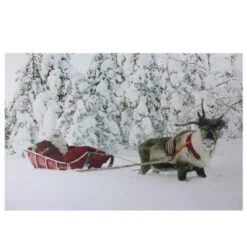 Northlight Fiber Optic Lighted Santa In His Sleigh Canvas Wall Art 15.75" X 23.5"